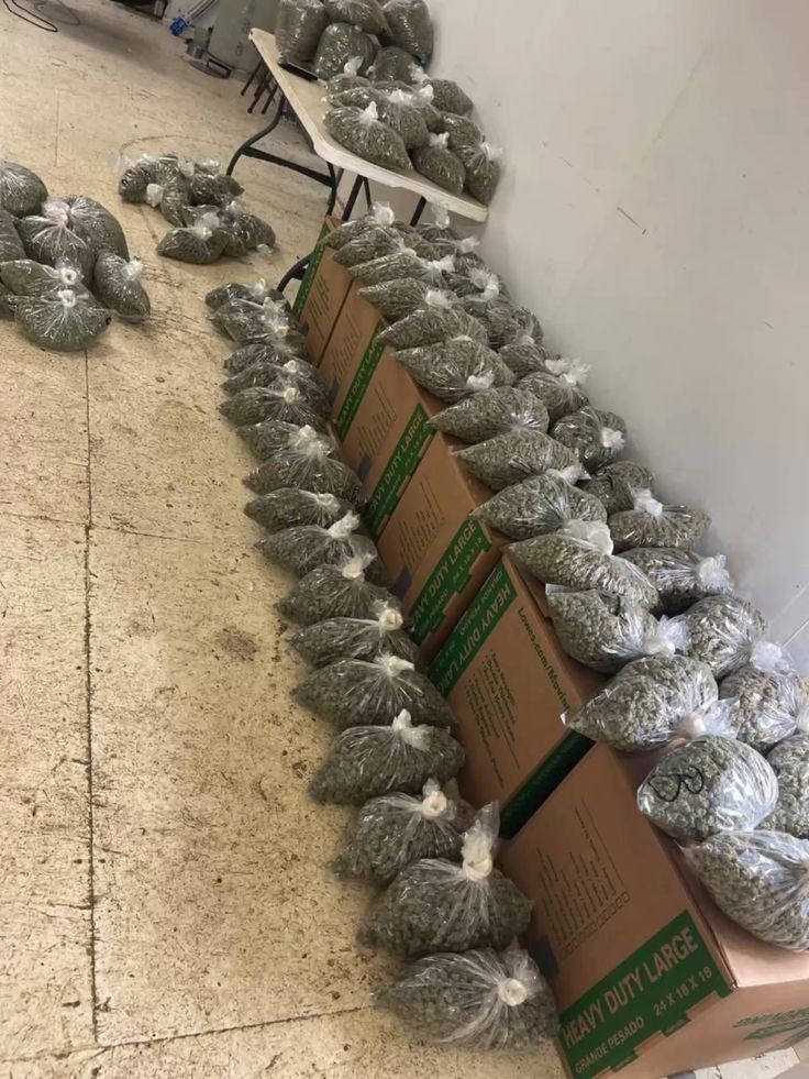 Is it legal to buy marijuana seeds online in Texas?